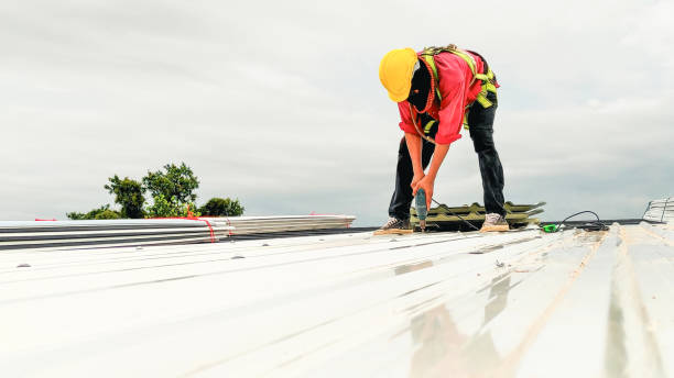 Professional Roofing Services in Wyoming, DE