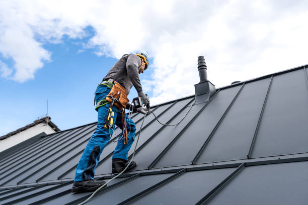 Best Roof Waterproofing  in Wyoming, DE